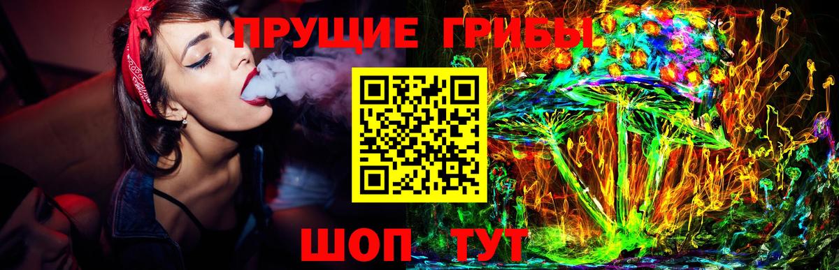 Псилоцибиновые грибы MAGIC MUSHROOMS  Вход с VPN  Галлюциногенные грибы Psilocybe  Майский 