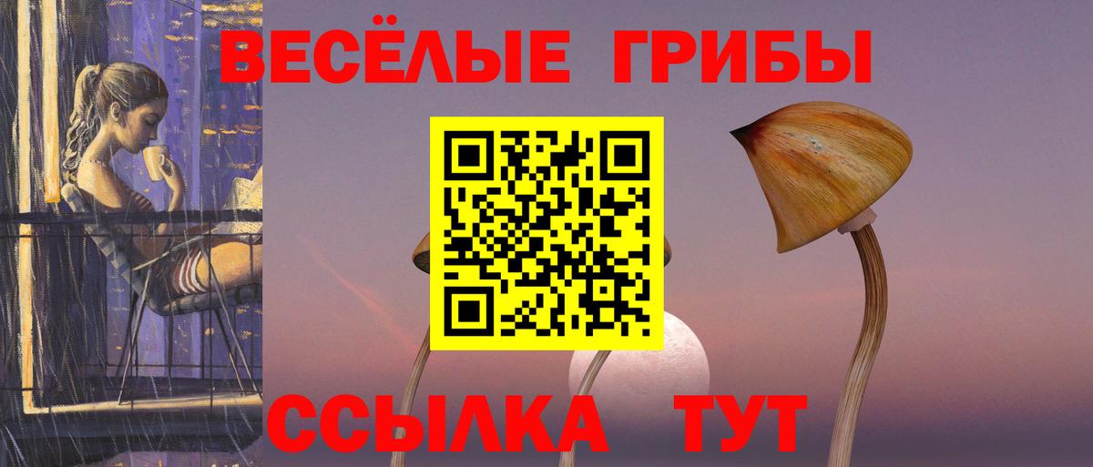 Псилоцибиновые грибы Psilocybine cubensis Майский